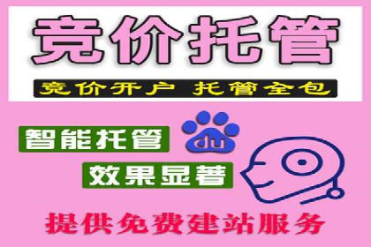 SEM投放策略优化案例分析